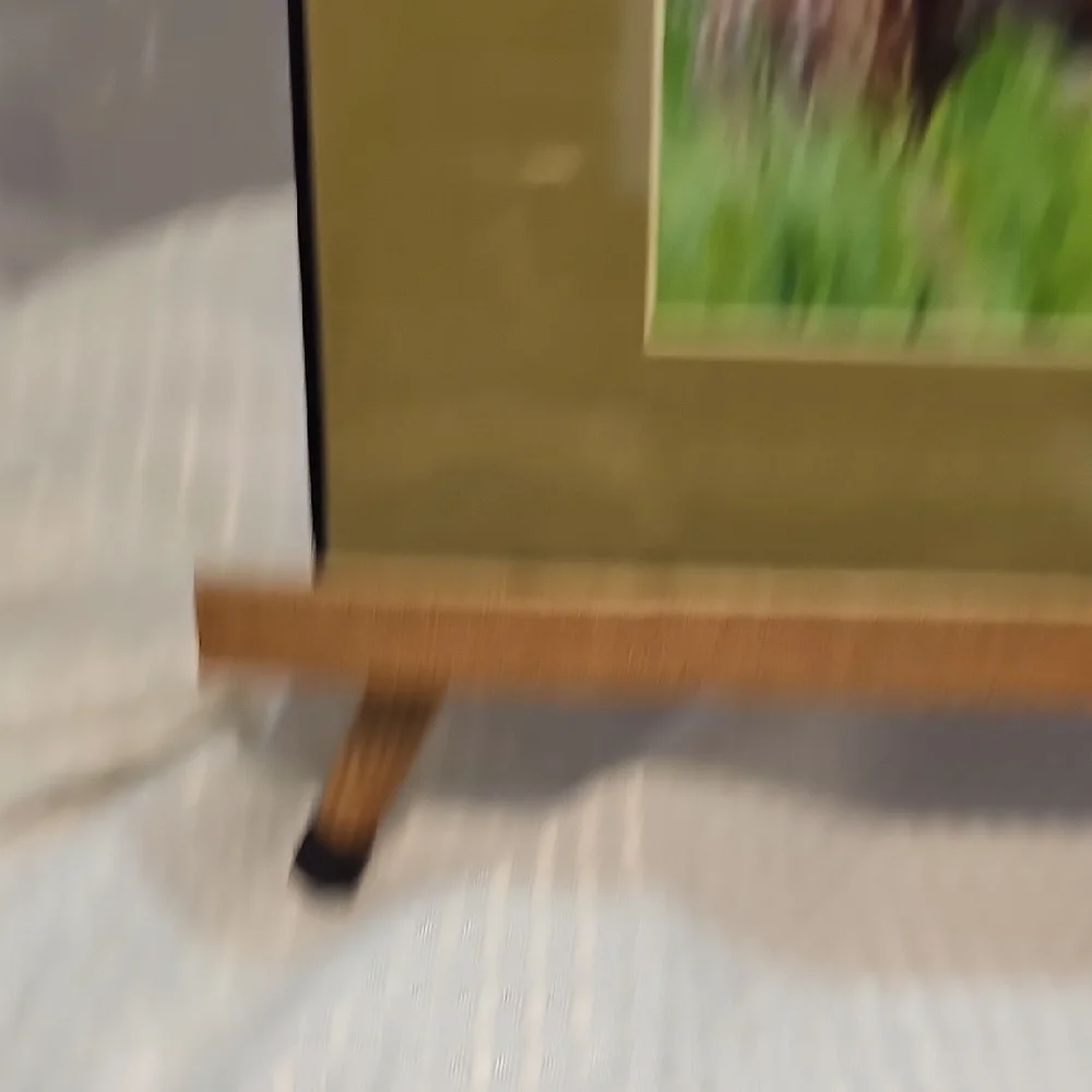 Pair Of Framed Wildlife Art Prints - Deer And Crane.